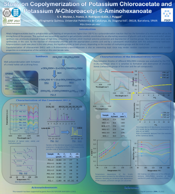 Poster GEP 2011_SKMF.png